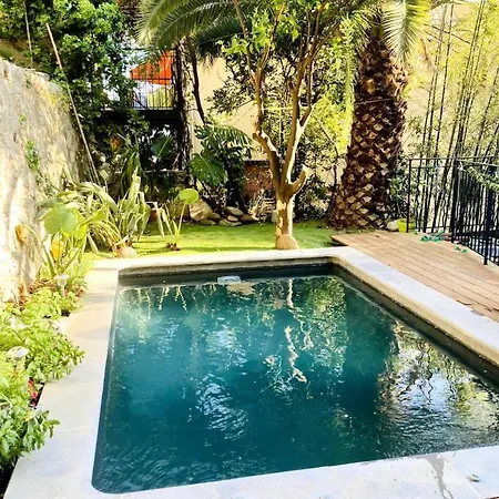 Lumineux Avec Terrasse Jardin Et Acces Piscine *