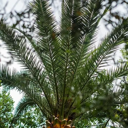 Lumineux Avec Terrasse Jardin Et Acces Piscine Apartamento *